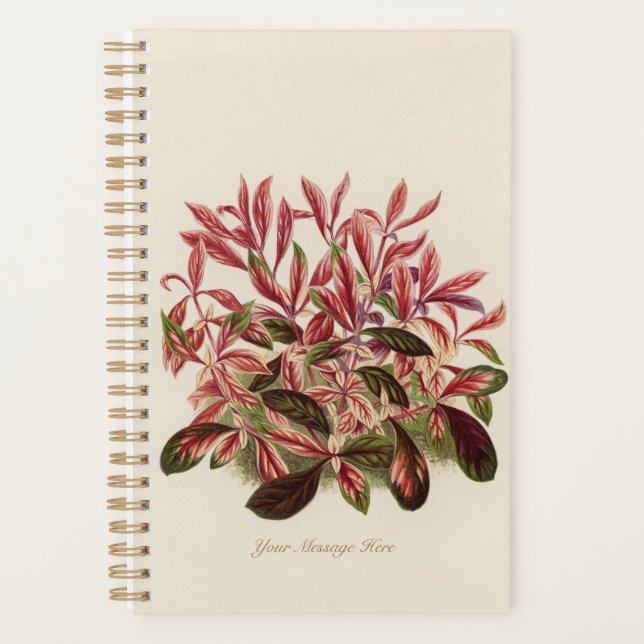 Agenda Planta Mãe Gardener Pai 2022 (Frente)