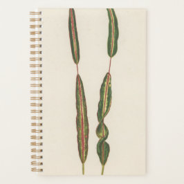 Agenda Plantas Mãe Pai Jardineiro Romântico Presente 2022