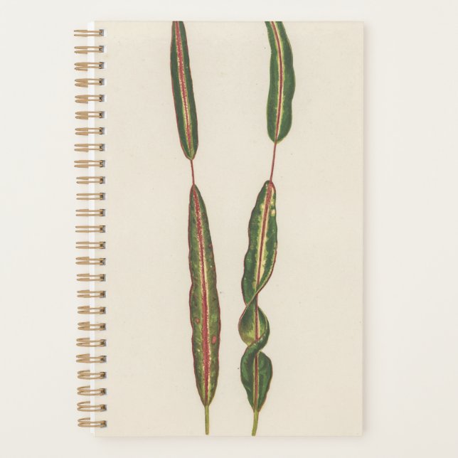 Agenda Plantas Mãe Pai Jardineiro Romântico Presente 2022 (Frente)