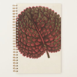 Agenda Plantas para presentes no jardim de aniversário 20