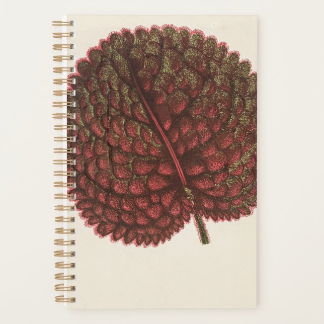 Agenda Plantas para presentes no jardim de aniversário 20 (Frente)