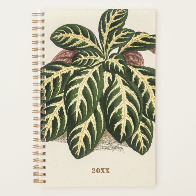 Agenda Plantas Personalizadas Durante 2022 (Frente)