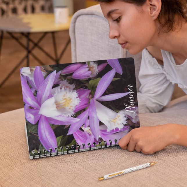 Agenda Plione Windowsill Orchids Floral (In Situ)