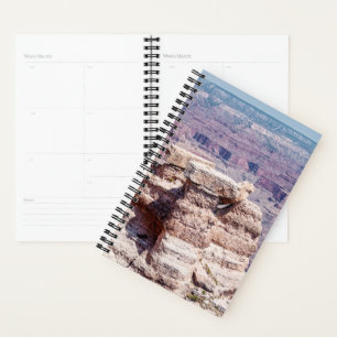 Agenda Ponto de Mather
