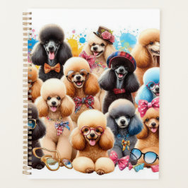 Agenda Poodle Club