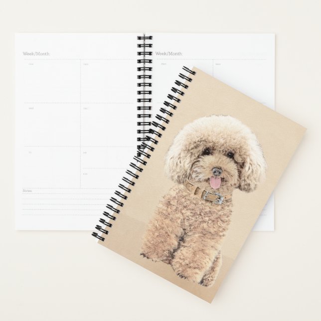 Agenda Poodle Miniature Toy Apricot Cream Brown Dog Art (Exibição)