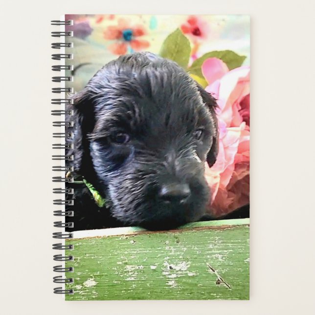 Agenda Portuguese Water Dog Planner Sweet (Frente)
