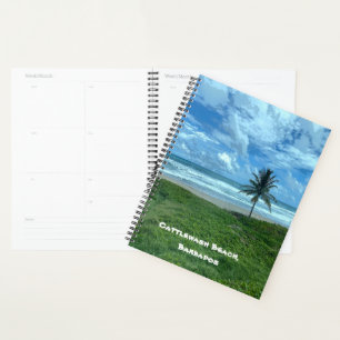 Agenda Praia de lavagem de gado, Barbados