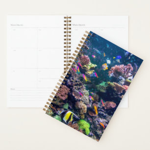 Agenda Praias Tropicais Coral submarino