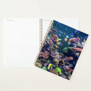 Agenda Praias Tropicais Coral submarino