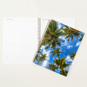 Agenda Praias Tropicais Palmeiras sobre o céu azul