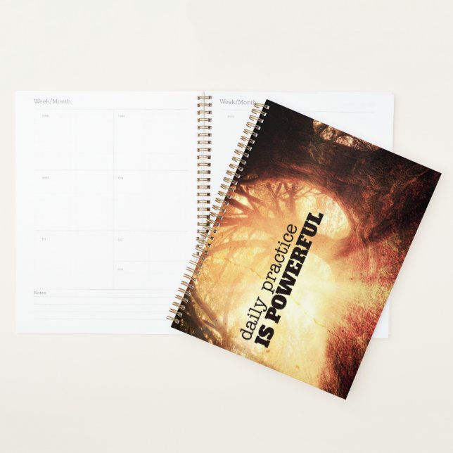 Agenda Prática Diária (Exibição)