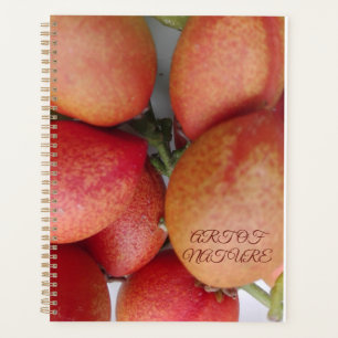 Agenda Presente de arte de fruta natural do namorados do 