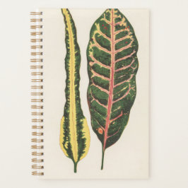 Agenda Presente de Natal Verde do Jardineiro