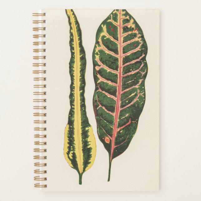 Agenda Presente de Natal Verde do Jardineiro (Frente)