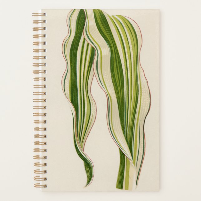 Agenda Presente especial para jardinagem de lindas planta (Frente)