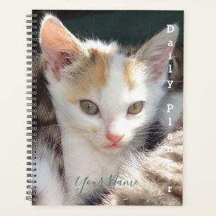 Agenda Pretty Kitty - Planificador Diário- HAMbWG