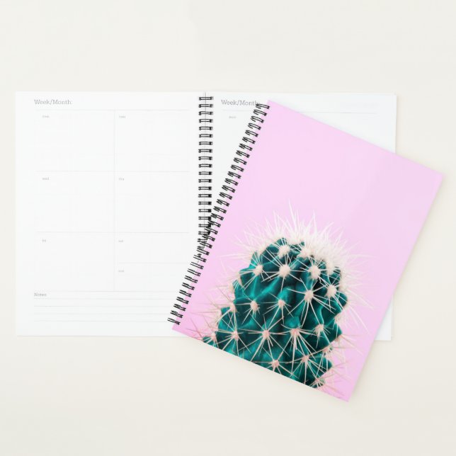 Agenda Prickley Cactus a Rosa (Exibição)