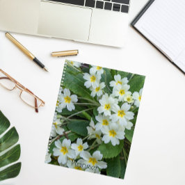 Agenda Primatas brancas com centrais amarelas