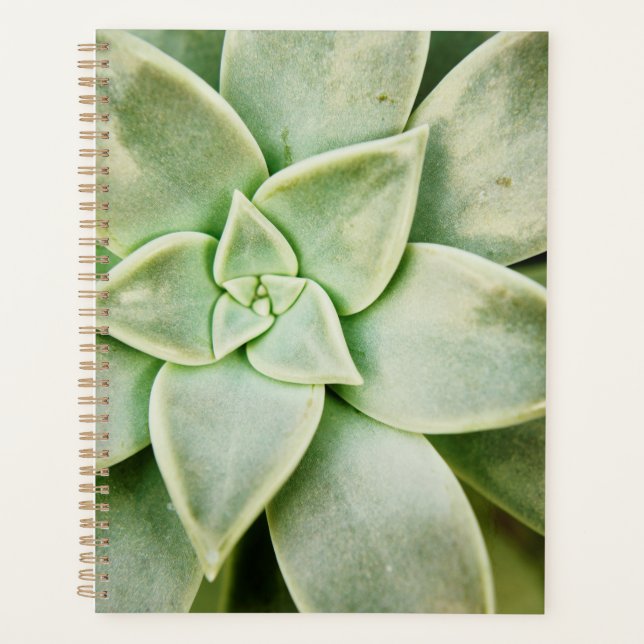 Agenda Primavera Succulent (Frente)
