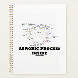 Agenda Processo Aeróbico Dentro do Ciclo de Krebs Humor G
