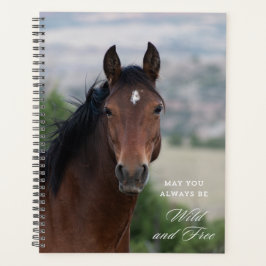 Agenda Pryor Mountain Wild Mustang "Ula