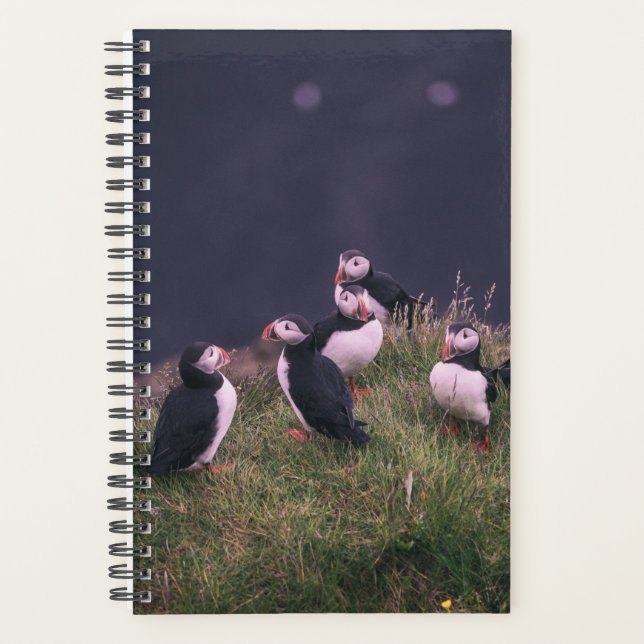 Agenda Puffins Atlântico (Frente)