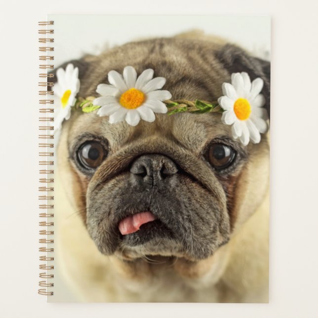 Agenda Pug com Daisy Crown (Frente)