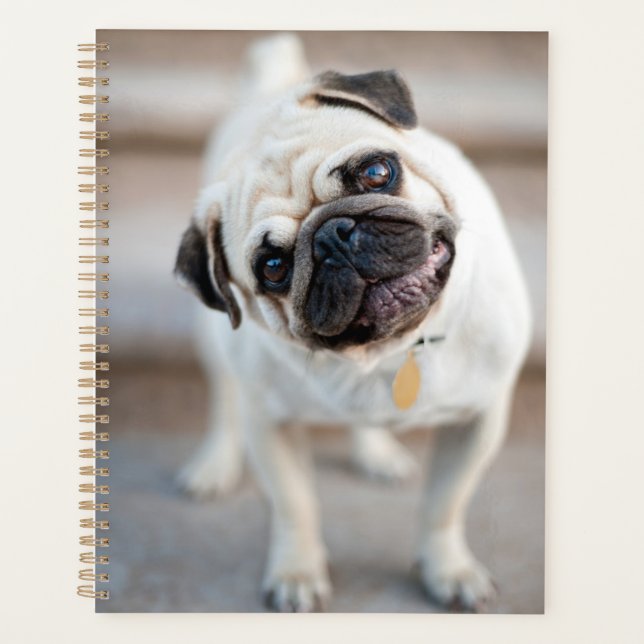 Agenda Pug Head Tilt (Frente)