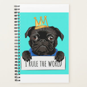 Agenda Pug I Governar O Presente Mundial, Engraçado Dom