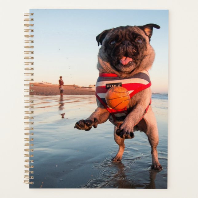 Agenda Pug Plays Ball on Beach (Frente)