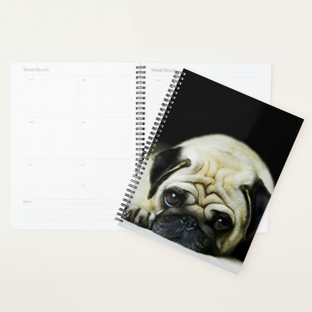 Agenda Pug Puppy (Exibição)