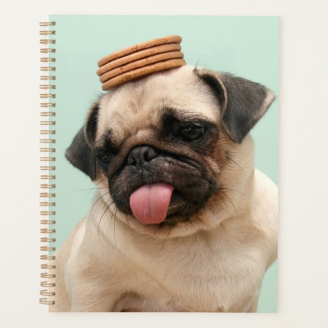 Agenda Pug Quer Tratamentos (Frente)