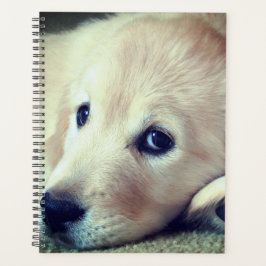 Agenda Puppy