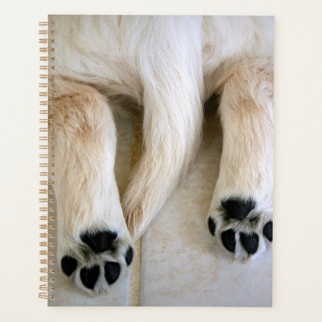 Agenda Puppy Toes do ouro Retriever (Frente)