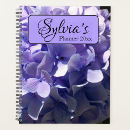 Agenda Purple lilac lavender Hydrangeas for her