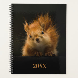 Agenda Quadrinho Cortado Ano