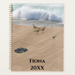 Agenda Quatro Pássaros em uma Praia