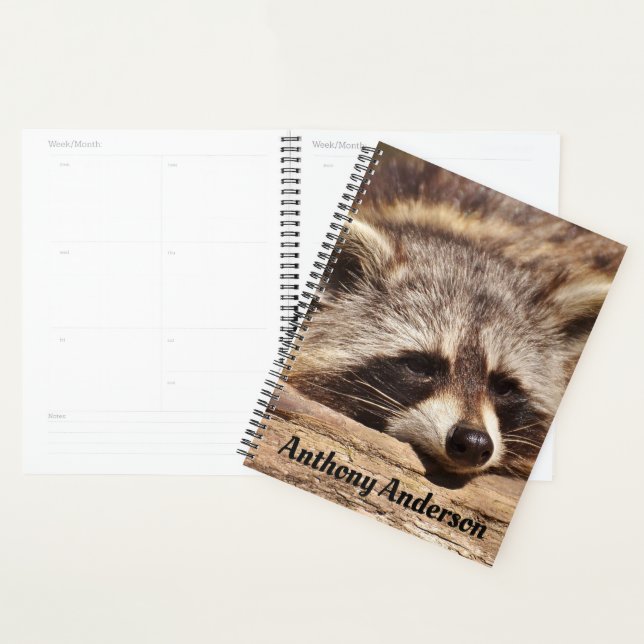 Agenda Raccoon (Exibição)