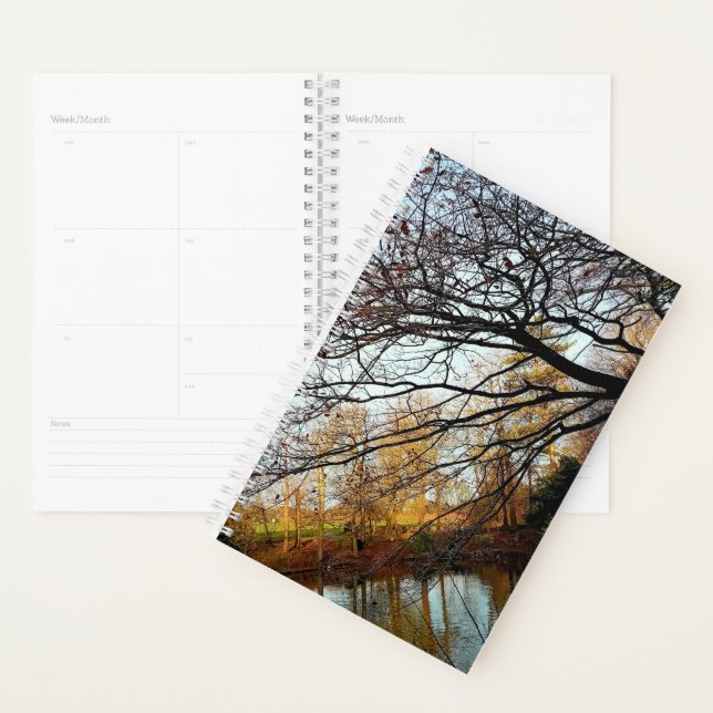 Agenda Ramais e árvores (Exibição)