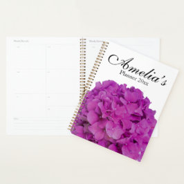 Agenda Raspberry pink hydrangeas pink magenta flowers