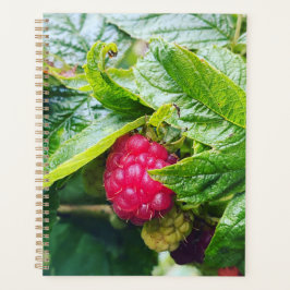 Agenda Raspberry Planner