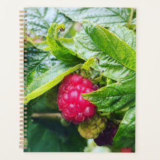 Agenda Raspberry Planner