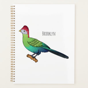 Agenda Red-crested turaco bird cartoon illustration