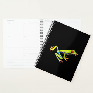 Agenda Red Eyed Painted Tree Frog