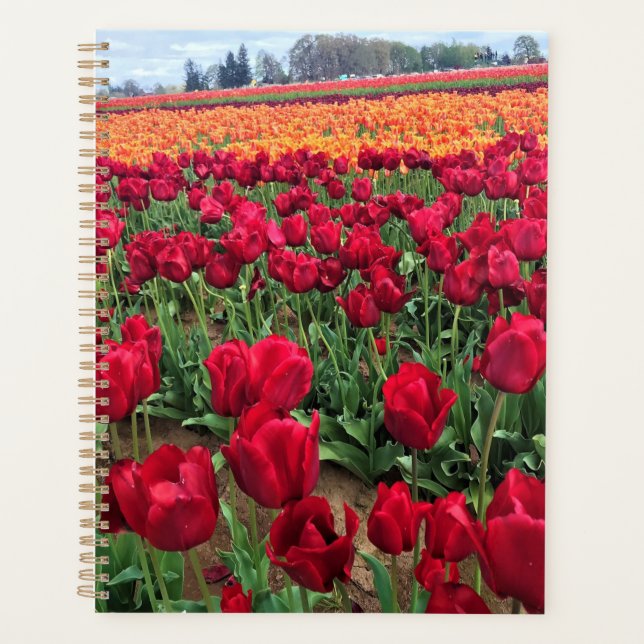 Agenda Red & Orange Tulip Field, Oregon (Frente)