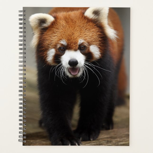 Agenda Red Panda (Frente)
