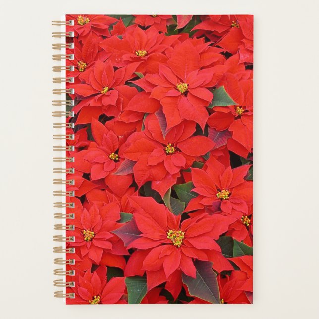 Agenda Red Poinsettias I Festa Floral de Natal (Frente)