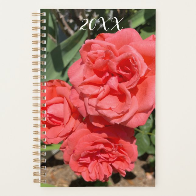 Agenda Red Rose Flower Cluster In Garden Photograph (Frente)