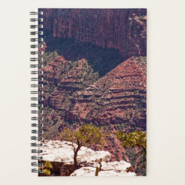 Agenda Relógios Rafinescos